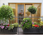Schöne moderne Terrasse mit vielen Blumen